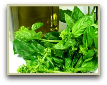 Picture of fresh basil and basil oil