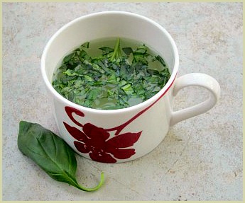 picture of basil tea made with fresh basil leaves