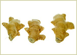 picture of ginger root