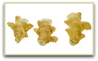 Ginger root picture