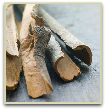 picture of saigon cinnamon
