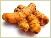 picture of fresh turmeric root