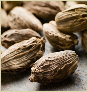 picture of black cardamom pods