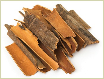 picture of cassia cinnamon