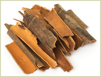 cassia cinnamon picture