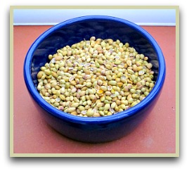 Picture of cilantro seeds in a bowl
