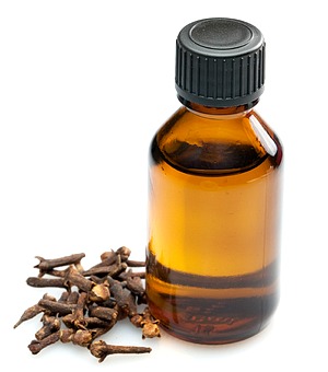 picture of clove oil