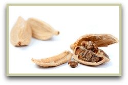 picture of white cardamom spice