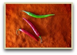 picture of hot hungarian paprika peppers