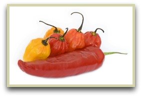 Picture of paprika peppers