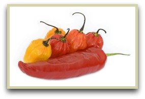 picture of paprika peppers